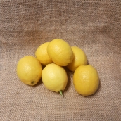 Citrony z Kréty