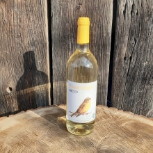 BIO Víno Pinot Grigio 2019 1 l