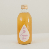 Kombucha Bezinka 330 ml