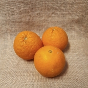 Pomeranče z Kréty
